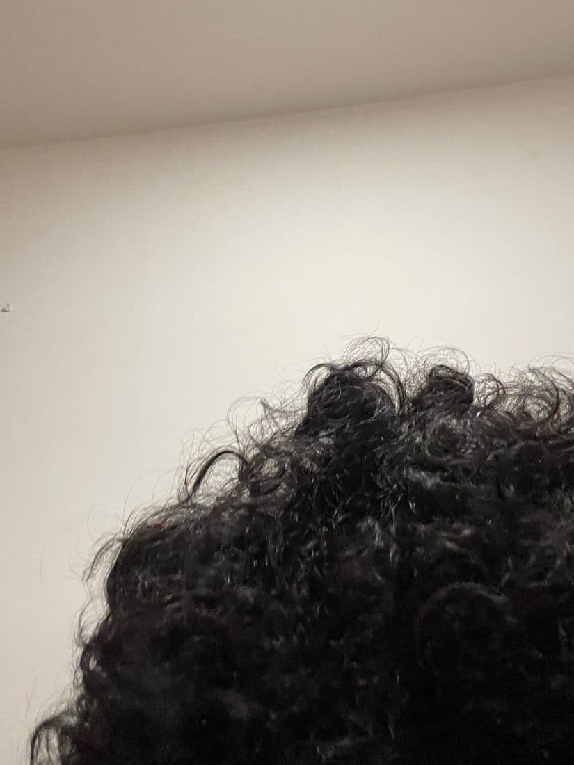 Top of the head, hair damp from serum application